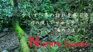 川の上流の美しい水の流れ春の訪れを感じさせる音風景に包まれる宮崎県日南市 広渡川上流 [upl. by Conyers797]