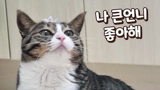 보름이가 큰언니를 좋아하게 됐어요 이런 적이 없었는데 [upl. by Idell]