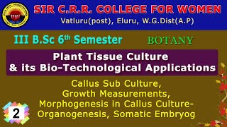 2 BSc 36  Botany  Plant Tissue Culture amp its Bio Technological Applications Callus Sub Culture [upl. by Sillsby20]