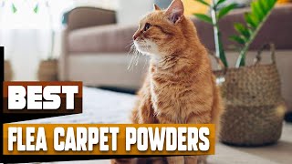 Best Flea Carpet Powder In 2024  Top 10 Flea Carpet Powders Review [upl. by Eelymmij899]