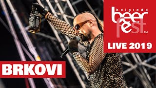 Brkovi  Live  Belgrade Beer Fest 2019 [upl. by Odama739]