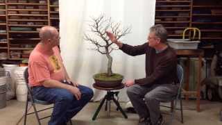 Development of Persian Parrotia with Arthur Joura  Part2 [upl. by Weyermann622]