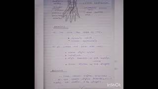 Superficial palmar arch notes 📝Anatomy [upl. by Roath654]