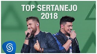 Top Lançamentos Sertanejo 2019  Os Melhores Clipes [upl. by Larred]