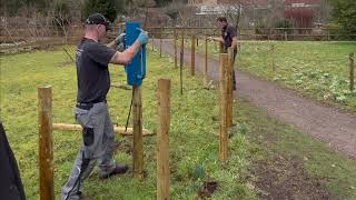 Creating a dead hedge at The Bishops Palace amp Gardens Wells [upl. by Kort]