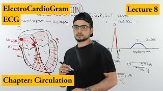 ECG Electrocardiogram fully explained  Chapter circulation  Video 8 [upl. by Rech]