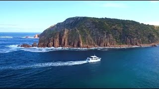 Cape Woolamai Cruise  Phillip Island  Wildlife Coast Cruises [upl. by Teufert659]