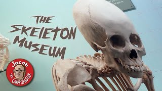 Worlds Only Skeleton Museum  The Museum of Osteology [upl. by Aristotle]