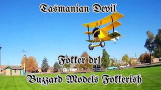 buzzard models fokkerish flying the Tasmanian Devil fokker dr1 [upl. by Aramad]