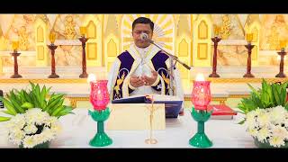 Holy Mass November 24 Friday 530 AM I Malayalam I Syro Malabar I Fr Bineesh Augustine [upl. by Bacchus410]