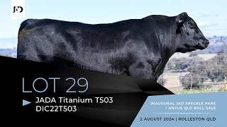 Lot 29  JADA Titanium T503 DIC22T503 HBRregistered Angus Bull [upl. by Bashemeth455]