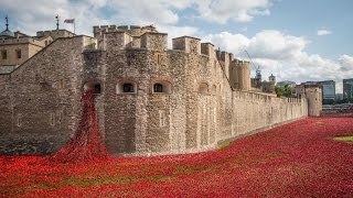 Poppy memorial timelapse at Tower of London from dawn to dusk [upl. by Erusaert]