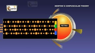 Physics  Newtons corpuscular theory of light  Science [upl. by Deeraf]