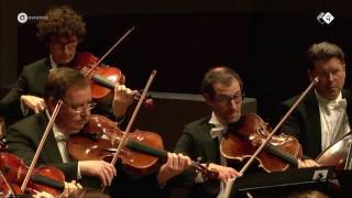 Mendelssohn Concerto for Violin and Strings  Concertgebouw Chamber Orchestra  Live concert HD [upl. by Wolf821]