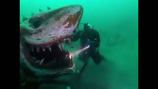 Terrifying underwater shark statue at Lake Neuchatel in Switzerland  mysterious thing  discoveries [upl. by Wendalyn]