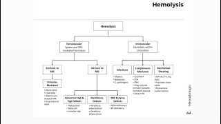 Intrinsic hemlysis easily [upl. by Dlareg153]