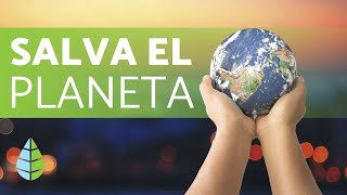 Cómo CUIDAR el MEDIO AMBIENTE ♻️ 5 TIPS ¡DEFINITIVOS [upl. by Londoner]