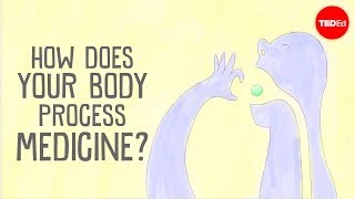 How does your body process medicine  Céline Valéry [upl. by Enniotna]