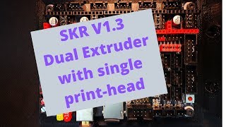 SKR 13  Dual Extruder with single printhead [upl. by Onairpic]