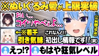 ぬいぐるみ愛が凄すぎる初出し情報が想像の3倍上を行くすいちゃんにヤバイ奴認定せざるを得ない戌亥とこ町田ちま【ホロライブ にじさんじ 切り抜き 星街すいせい 戌亥とこ 町田ちま】 [upl. by Edholm]