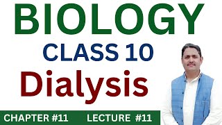 Dialysis Class 10  Biology Class 10th  Chapter 11 [upl. by Lundgren]