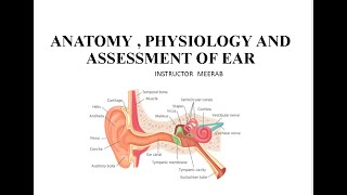 Auditory System Anatomy Physiology And Assessment of Ear  Lecture In Urdu and Hindi [upl. by Beaumont]