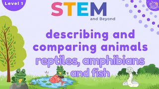 Describing and Comparing Animals Reptiles amphibians and fish  KS1 Year 1 STEM Summer Camp [upl. by Kahn]