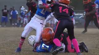 Fultondale Wildcats 10u vs Parkwest Tigers Highlights [upl. by Aibun]