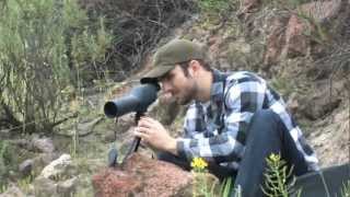 Colorado 2060x60 Spotting Scope from Barska CO11502 [upl. by Esinel]