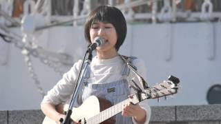 ダンデライオン コアラモード ROCKYARD at 日本丸 Live 20141122 [upl. by Farrison]