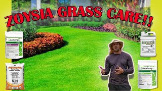 How To Care For Zoysia Grass Full Guide Fertilizer  Mowing  Watering  Pest  Fungus  Weeds [upl. by Treulich61]