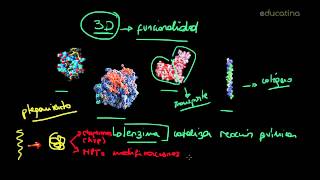 Modificaciones post traduccionales de las proteínas YouTube [upl. by Vitoria]