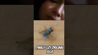 Eegaeega2youtubeshorts short [upl. by Vladamir]