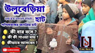 Uluberia pet market  Current Exotic Pigeons Price Update at Uluberia pet market 2312 2023 Visit [upl. by Sanburn665]