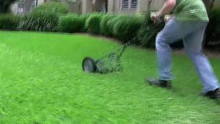 Four Push Reel Mowers The Ultimate Solution [upl. by Dlarrej]