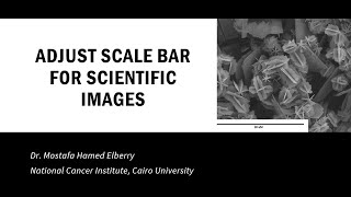 HOW TO ADJUST SCALE BAR FOR SCIENTIFIC IMAGES [upl. by Arba196]