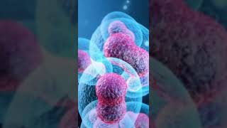 4 stages of cell cycle  कोशिका विभाजन क्या है इसके प्रकार drjverma cell biology  4k  new [upl. by Novek]