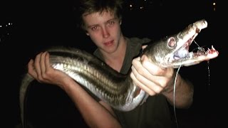 EP 2  MONSTER EEL FISHING  Catch n Cook  Using Freshly Caught MULLET  TDK [upl. by Ennovahs606]