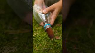 Cattail  plastic bottle free effective DIY water filter 💦 camping hack [upl. by Odnavres]