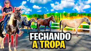 FECHANDO a TROPA de CAVALOS com STARLEY REZENDE CantorPepeFigueiredo [upl. by Atiluap]