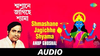 Shmashane Jagichhe Shyama  Anup Nazrul Anjali Laho Mor Sangeete  Anup Ghoshal  Audio [upl. by Ellesirg]