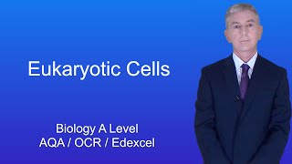 A Level Biology Revision quotEukaryotic Cellsquot [upl. by Dlaniger585]