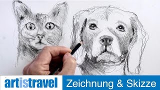 Tiere zeichnen  Ganz einfach zeichnen lernen 18 [upl. by Hadeehsar]