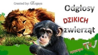 Odgłosy zwierząt dla dzieci The animal sounds for children [upl. by Hanway]