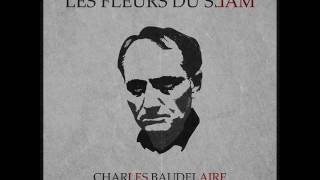 Charles Baudelaire  La Destruction Audio [upl. by Ullyot]