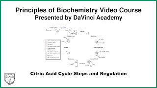 Citric Acid Cycle Steps and Regulation Metabolism 2 of 21 [upl. by Eteragram171]