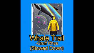 Whale TrailGruff Rhys Slowed Down [upl. by Adnylem870]