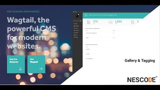 Wagtail Blog app Gallery amp tagging features Part 7 [upl. by Aleit]