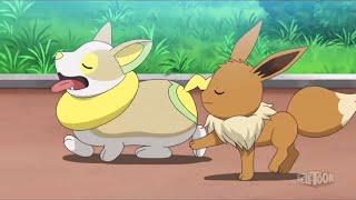 Pokemon Journeys Eevee Acts Like Yamper [upl. by Merow844]