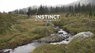 Alpine Mountain Bike Adventure — Instinct in the Monashees [upl. by Reichel808]